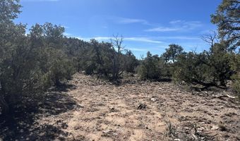 362 Big View Trl, Ash Fork, AZ 86320