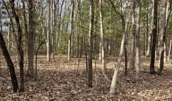 Aspen Drive, Allegan, MI 49010