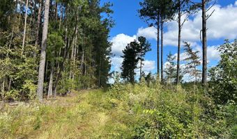 60 Ac Shannon Rd, Blackstock, SC 29014