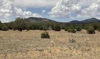 154 153 Gleed Sta, Ash Fork, AZ 86320