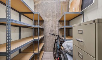 231 Robinson St 318, Basalt, CO 81621
