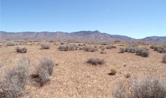 308-19 248 N Abeche Dr, Chloride, AZ 86431