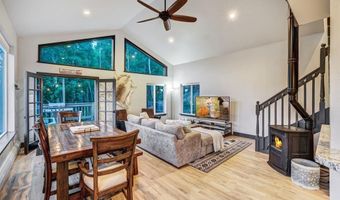 1095 Quartzville Rd, Alma, CO 80440