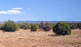 Lot 44 Ranch Of The White Mountains N9119, Concho, AZ 85924