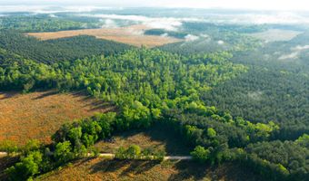 40 Acres Winchester Rd, Strong, AR 71765
