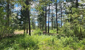 31683 Lake To Sky Dr, Bigfork, MT 59911