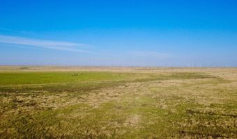 Oldham County Grass +/- 1 478, Adrian, TX 79001