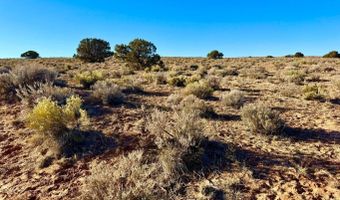 N7009 40 Acres, Chambers, AZ 86502