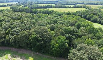 Lower Big Sandy Road, Big Sandy, TN 38221