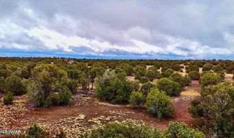 Tbd Co Rd 8256 Lot D 10 Acres, Concho, AZ 85924