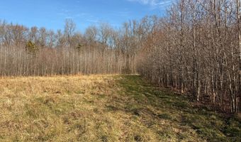 BLACK SWAMP ROAD, Felton, DE 19943