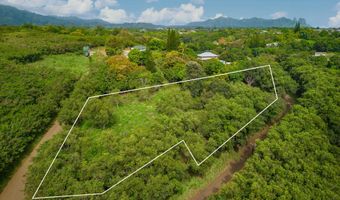 APOPO RD, Kapaa, HI 96746
