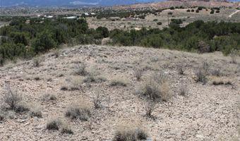 BEAN CREEK Road, Abiquiu, NM 87510