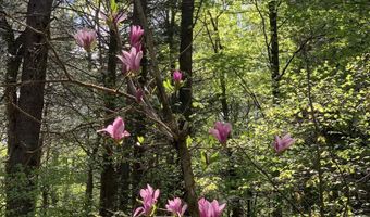 19 Shag Bark Hl, Putney, VT 05346