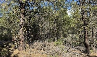 Thunder Bear Road, Bonanza, OR 97623