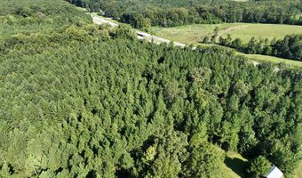 Highway 58, Baskerville, VA 23915