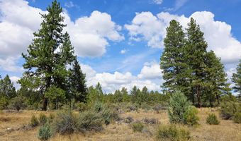 Swan Drive 16 & 17, Bonanza, OR 97623