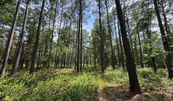 Fox Paw Court, Branchville, SC 29432