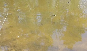 5143 N Hogan Rd, Aurora, IN 47001