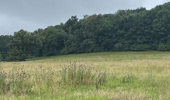 2403 Hog Jaw Rd, Arab, AL 35016