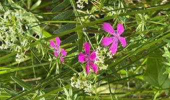 45 Freedom Rd, Belgrade, ME 04917