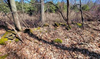 399 Bard Rd, Bennington, VT 05201