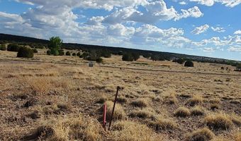 1 County Road 5088, Concho, AZ 85924