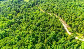 9 Ac Steele Rd, Blackstock, SC 29014