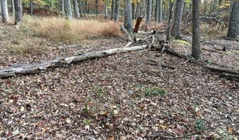 BIG HORN Trail, Augusta, WV 26704