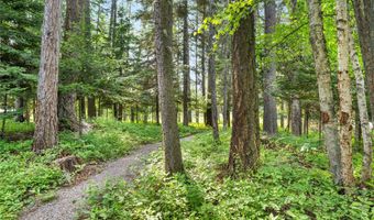 172 178 Swanlea Rd S, Bigfork, MT 59911