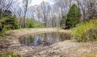 192 Mo 19, Alton, MO 65606