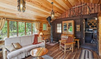 84 County Road 113 S, Allenspark, CO 80510