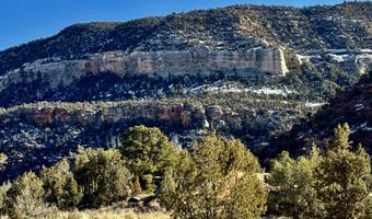 TBD X4 Road, Bedrock, CO 81411