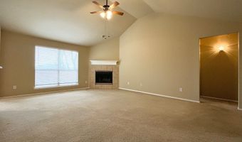 233 Niagara Falls Dr, Anna, TX 75409