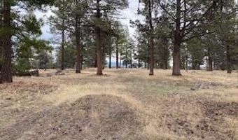 0 Widgeon, Bonanza, OR 97623