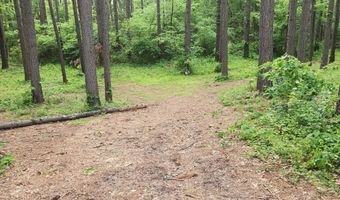 748 Puckett Rd, Anderson, MO 64831