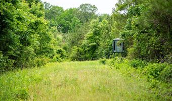 7400 Amon Hill Rd, Bastrop, LA 71220