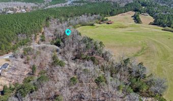 BRUSHY Ln, Arley, AL 35541