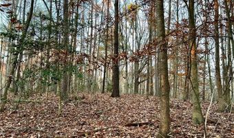 0 Pebble Creek Ln, Alto, GA 30510