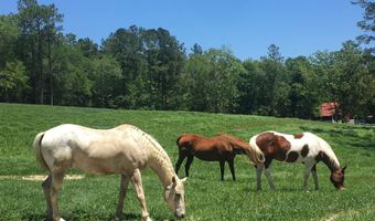 12080 Conecuh Cove Rd, Andalusia, AL 36421