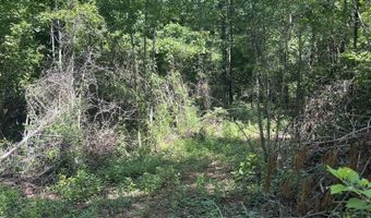 385 CARR Rd, Alpine, AL 35014