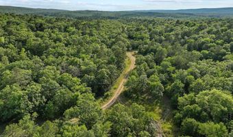186275 N 4380 Rd, Antlers, OK 74562