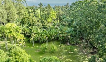 29-509 CHIN CHUCK Rd, Hakalau, HI 96710