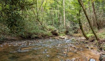 1034 Chestnut Flats Rd, Andrews, NC 28901