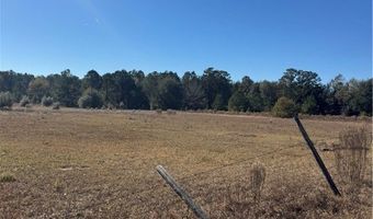 353 Wilder Rd, Allenhurst, GA 31301
