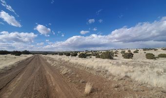 8 County Road 5203, Concho, AZ 85924