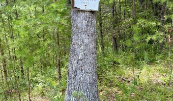00 Coal Branch Rd, Beattyville, KY 41311