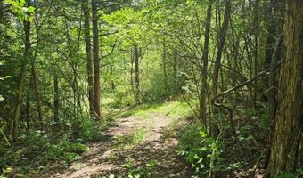Eugene lot 19, Aurora, IN 47001