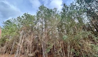 SE Lee Drive, Bogue Chitto, MS 39629