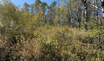 4051 Golden Stone Ln, Ashton, ID 83420